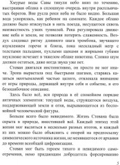 Вниз по течению - Фото 1
