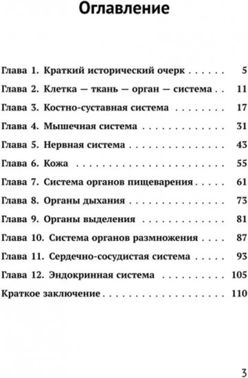Как устроено тело человека