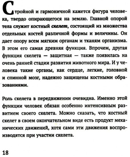 Как устроено тело человека