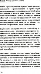 Как устроено тело человека - Фото 4