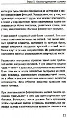 Как устроено тело человека - Фото 5