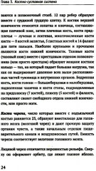 Как устроено тело человека - Фото 8