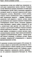 Как устроено тело человека - Фото 10