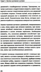 Как устроено тело человека - Фото 12