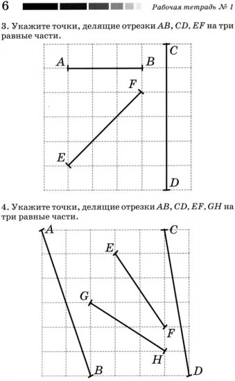 Наглядная геометрия. Рабочая тетрадь № 1. Отрезки и прямые. Углы. Геометрические места точек