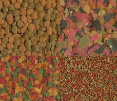 Корм для всех видов рыб - Фото 1