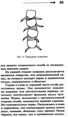 Все ключевые упражнения и рекомендации системы НИШИ. Конспект здоровья - Фото 11