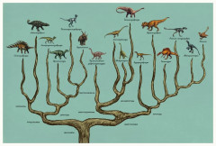 Динозавриум - Фото 3