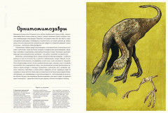 Динозавриум - Фото 8