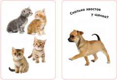 Изучаем цифры. Развивающие карточки - Фото 1