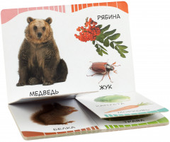 Кто что ест - Фото 4