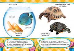 Домашние питомцы - Фото 2
