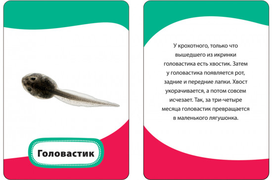 Мамы и малыши