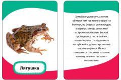 Мамы и малыши. Развивающие карточки - Фото 2