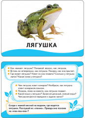 Животные. Развивающие карточки - Фото 2