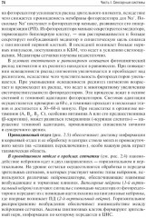 Физиология сенсорных систем. Высшая нервная и психическая деятельность, поведение - Фото 12