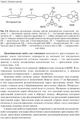 Физиология сенсорных систем. Высшая нервная и психическая деятельность, поведение - Фото 13
