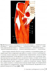 Ревмоортопедия: руководство для врачей - Фото 13