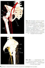 Ревмоортопедия: руководство для врачей - Фото 14