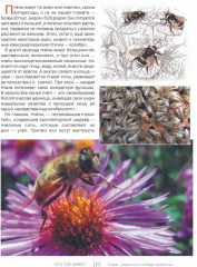 Кто, где живет. Норы, укрытия и гнезда животных - Фото 2