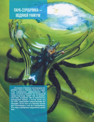 Кто, где живет. Норы, укрытия и гнезда животных - Фото 4