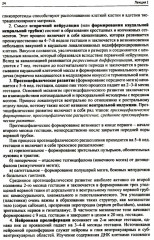 Лекции по неврологии развития - Фото 4