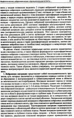 Лекции по неврологии развития - Фото 5