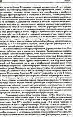 Лекции по неврологии развития - Фото 6