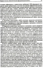 Лекции по неврологии развития - Фото 7