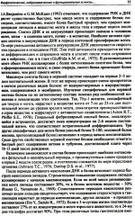 Лекции по неврологии развития - Фото 10