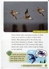 Oxford read and discover 3. Animals In the Air - Фото 3