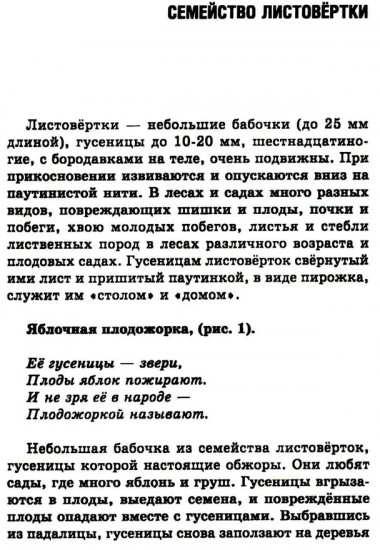 Удивительный мир бабочек