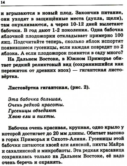 Удивительный мир бабочек