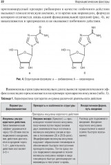 Биофармация, или основы фармацевтической разработки, производства и обоснования дизайна лекарственных форм - Фото 8