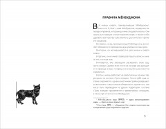 Пока ты видишь меня - Фото 1