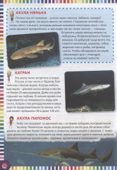 Первая энциклопедия для девочек - Фото 1