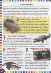 Первая энциклопедия для девочек - Фото 2