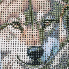 Мозаика алмазная «Волки зимой» - Фото 4