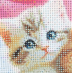 Мозаика алмазная «Котики» - Фото 3