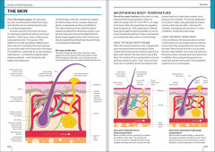 First Aid Manual - Фото 3