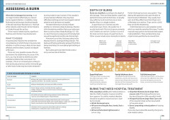 First Aid Manual - Фото 4