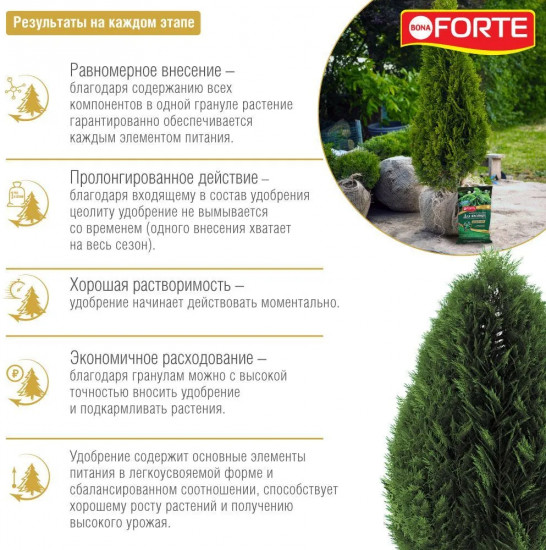 Удобрение пролонгированное минеральное «Хвойное»