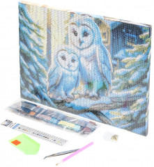 Мозаика алмазная «Две совы» - Фото 1