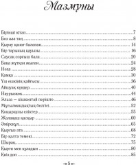 Комплект из 2 книг: Ай мен Айша - Фото 6