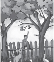 Комплект из 2 книг: Ай мен Айша - Фото 9