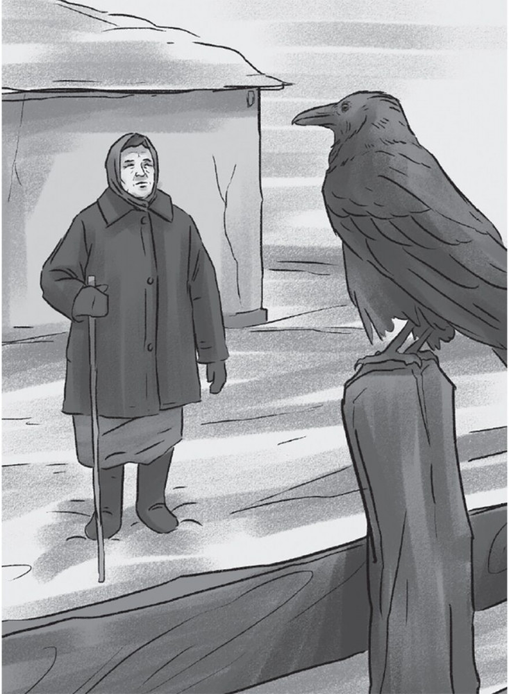 BBW шұлықтарында