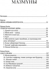 Мен Малаламын - Фото 1