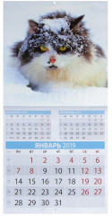 Календарь на скрепке «Кошки» 2019 год - Фото 1