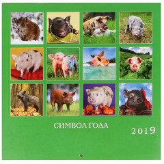 Календарь на скрепке «Символ года» 2019 год - Фото 2