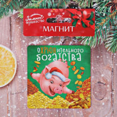 Магнит «Охрюнительного богатства» - Фото 2